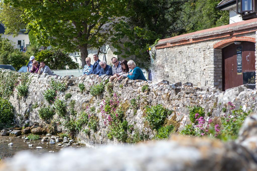 Lulworth Lodge Лалуорт-Ков Экстерьер фото